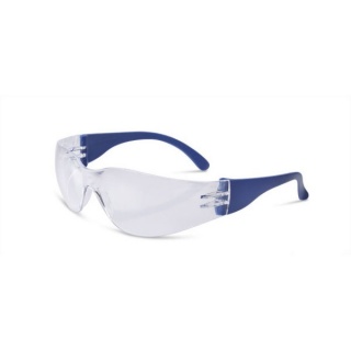Beeswift BBES Everson Safety Spectacle Clear